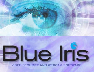 Blue Iris